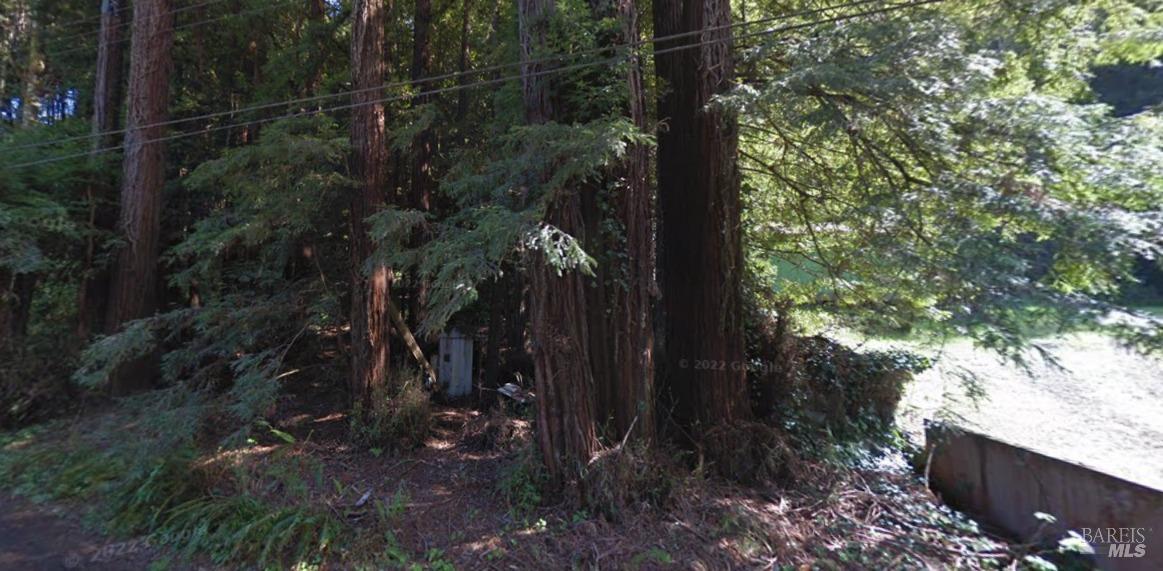 25591 Freezeout Road Duncans Mills, CA 95430 - Photo 1 of 1 Gallery Image 1
