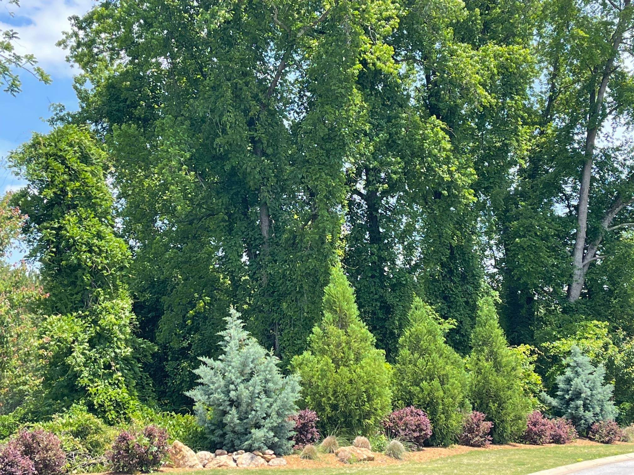 15 Grey Oak Trail Greer, SC 29650 - Photo 34 of 35