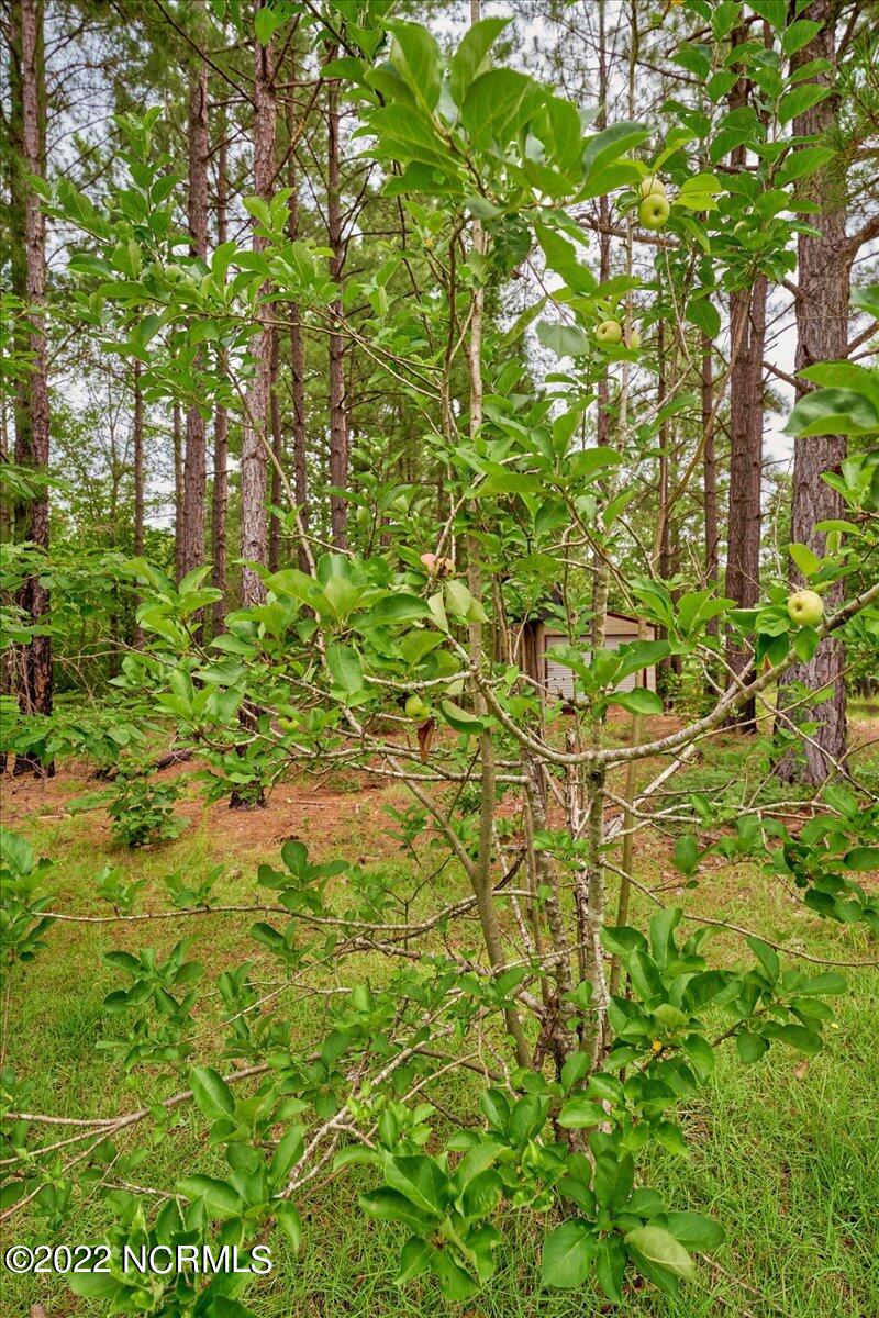 4875 Ashemont Road Aberdeen, NC 28315 - Photo 57 of 65 18-4875 Ashemont_18