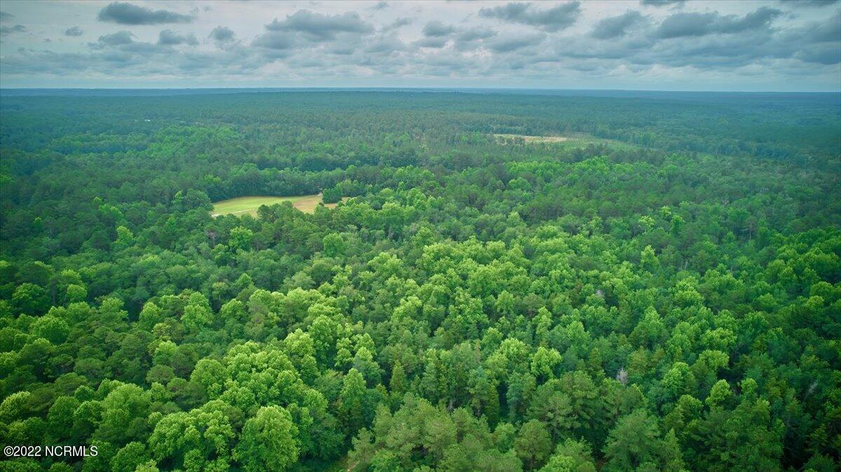 4875 Ashemont Road Aberdeen, NC 28315 - Photo 58 of 65 23-4875 Ashemont_23