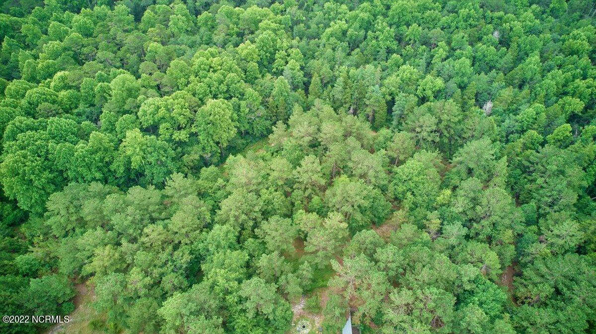 4875 Ashemont Road Aberdeen, NC 28315 - Photo 61 of 65 29-4875 Ashemont_29