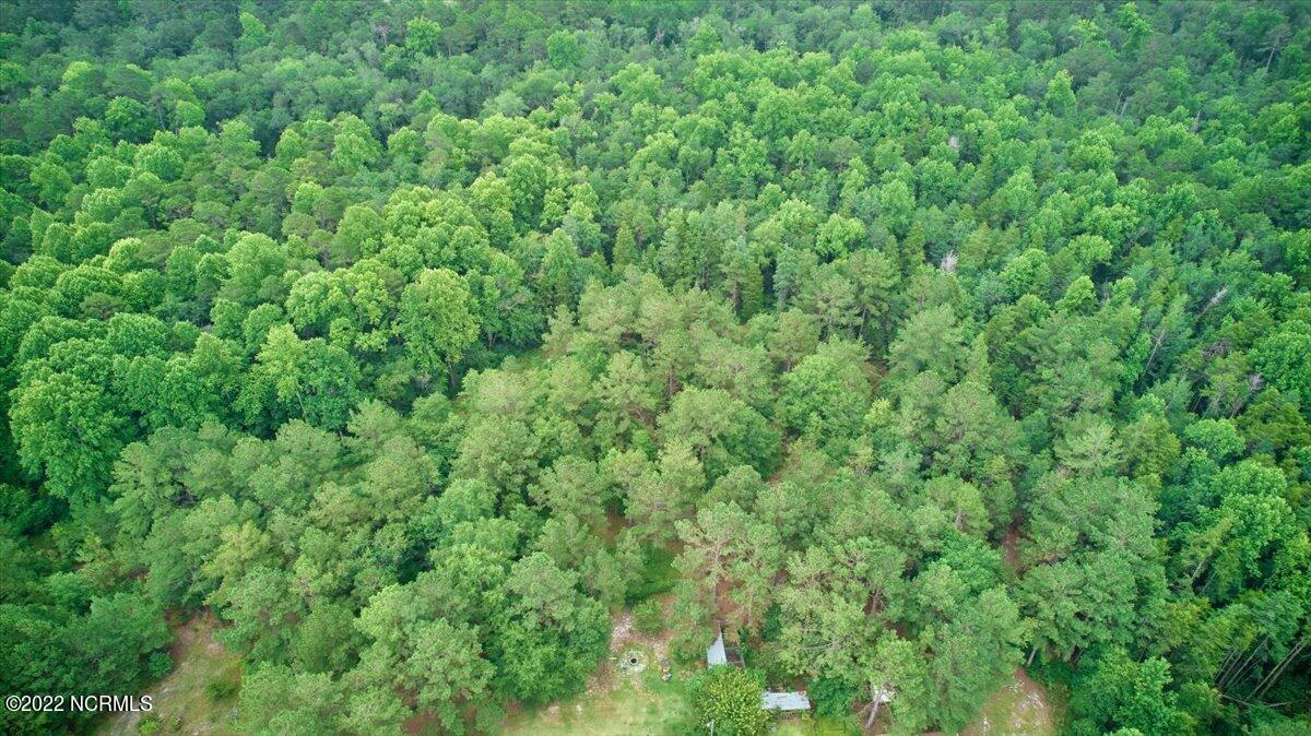 4875 Ashemont Road Aberdeen, NC 28315 - Photo 62 of 65 30-4875 Ashemont_30