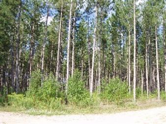 Harlan C-2 Road Copemish, MI 49625 - Photo 1 of 7 Primary Photo
