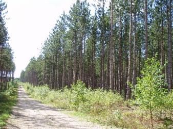 Harlan C-2 Road Copemish, MI 49625 - Photo 2 of 7 Additional Photo
