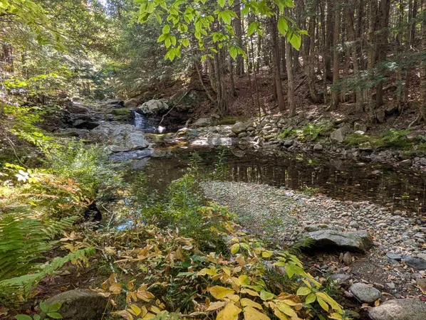 $729,000 | 829 Bearcamp Highway, Tamworth, NH 03883