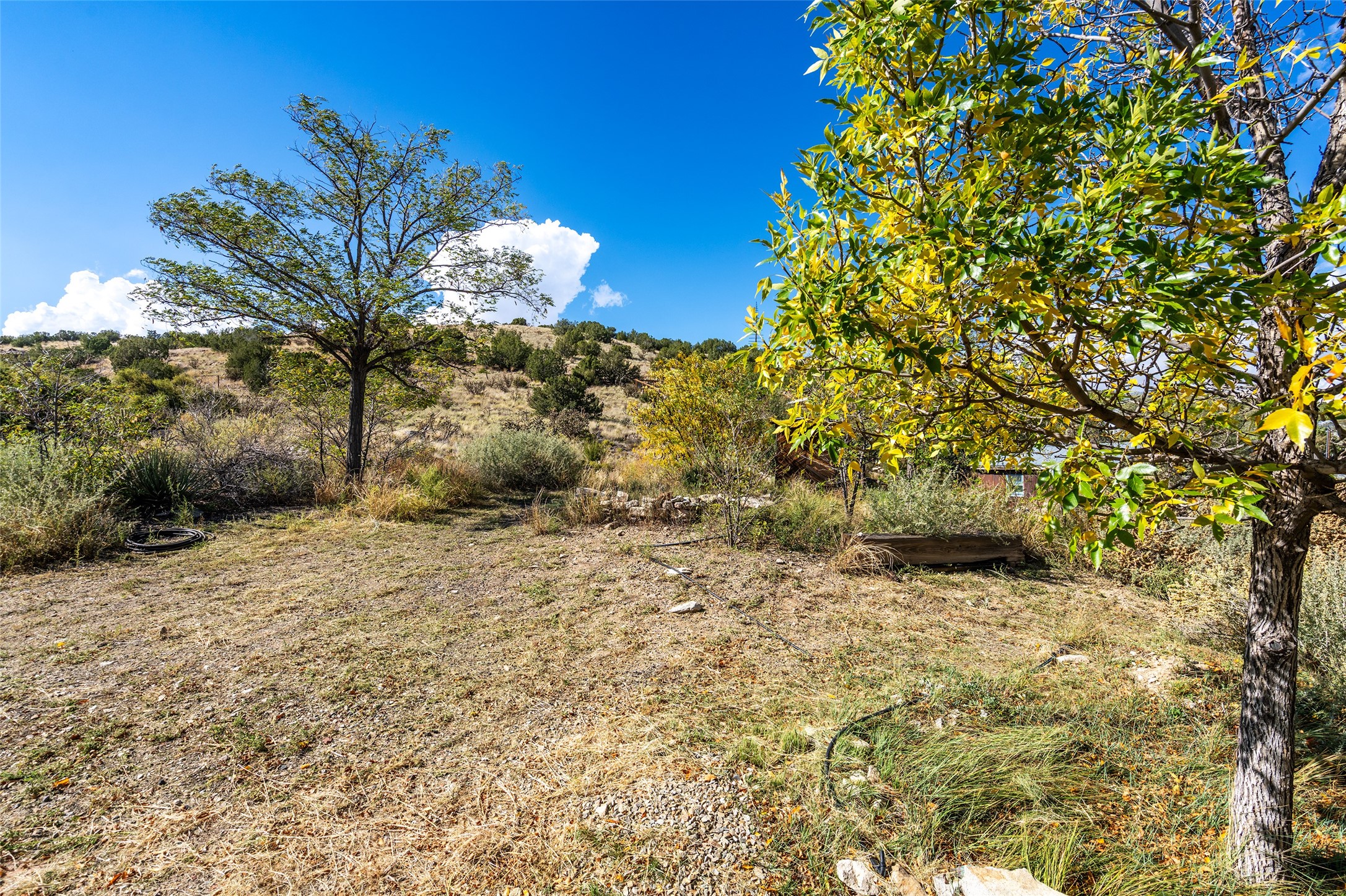 2829 Highway 14 Cerrillos, NM 87010 - Photo 28 of 35 Gallery Image 28
