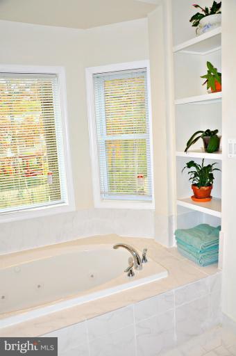 1233 Shenandoah Road Alexandria, VA 22308 - Photo 18 of 30 Bedroom (Master)