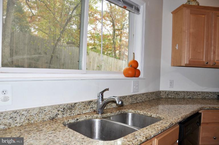 1233 Shenandoah Road Alexandria, VA 22308 - Photo 9 of 30 Kitchen