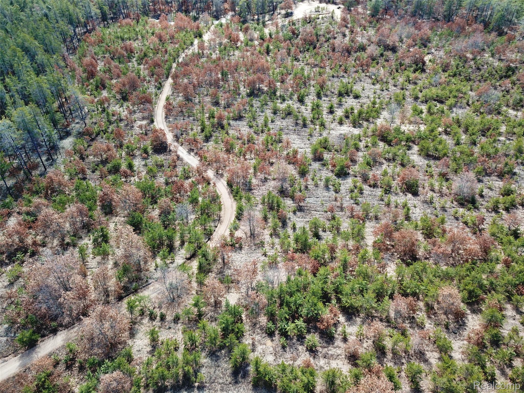 10456 Austin Road St. Helen, MI 48656 - Photo 4 of 24 Bird's eye view of trails running behind the property
