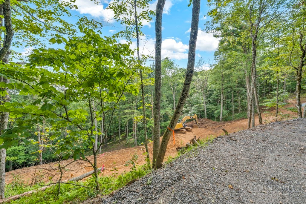 Saddle Road Vilas, NC 28692 - Photo 12 of 34 Gallery Image 12