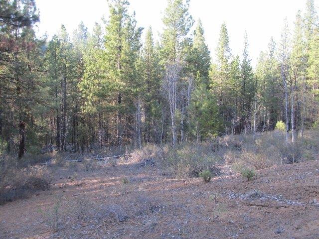 42679 Outpost Road Chiloquin, OR 97624 - Photo 5 of 29 Additional Photo