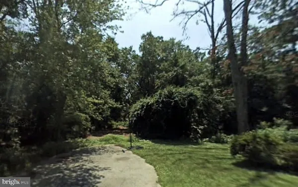 a view of a yard with large trees