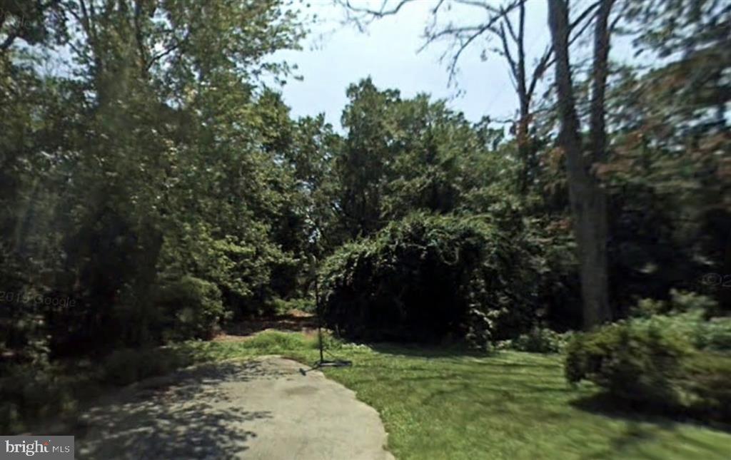 7937 East Riverside Drive Pasadena, MD 21122 - Photo 1 of 1 a view of a yard with large trees
