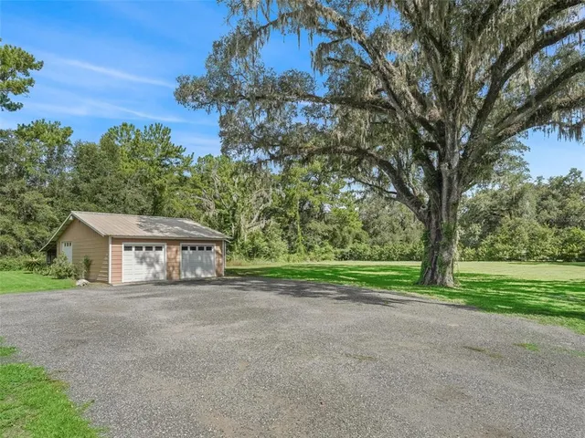 a view of a park with large trees
