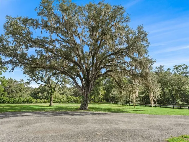 a view of a green field
