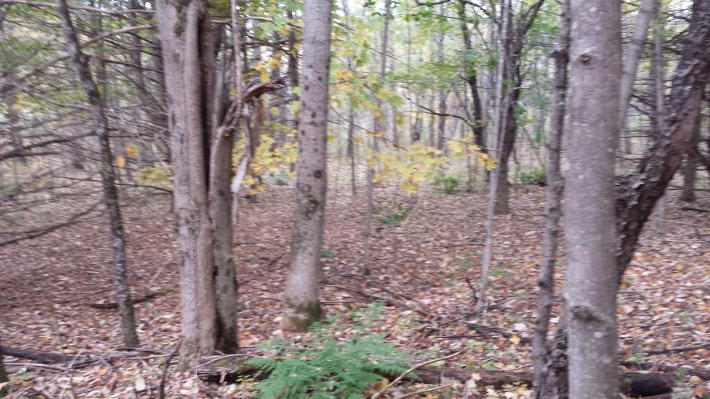 195 Hebron Center Road Hebron, ME 04238 - Photo 14 of 15 Photo