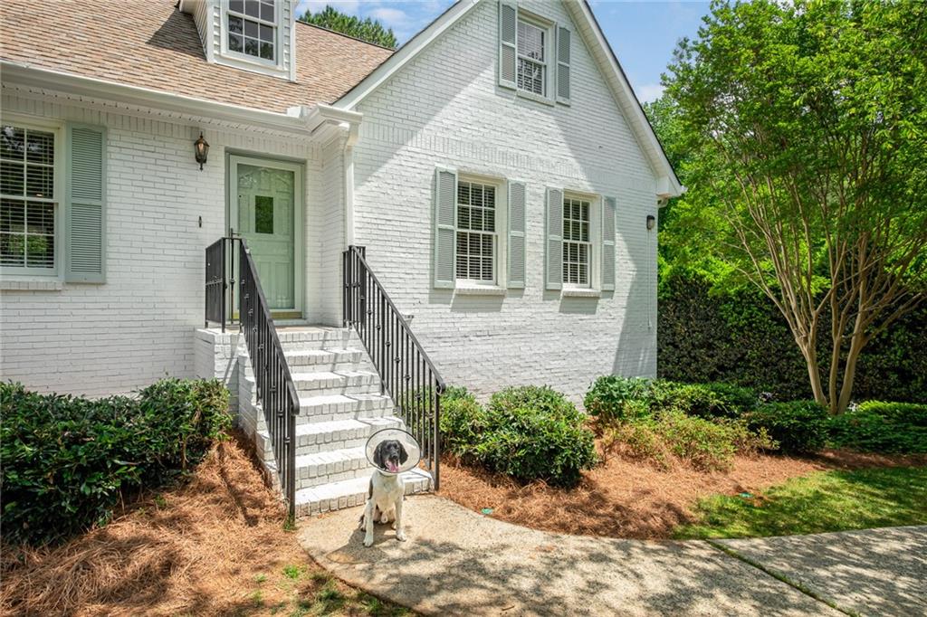 3704 Tulip Tree Road Marietta, GA 30066 - Photo 1 of 1 Been beat up by this market? Hope is on the way! Welcome to 3704 Tulip Tree now offered for the first time since it was built! Lovingly updated, turn key in a fabulous community - everything you've been looking for!