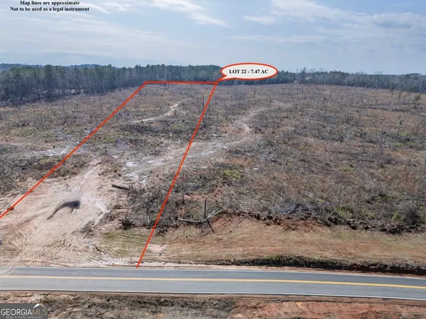 a view of a dry yard