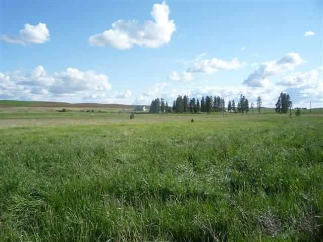 317-xx South North Kentuck Trails Road Spangle, WA 99031 - Photo 14 of 20