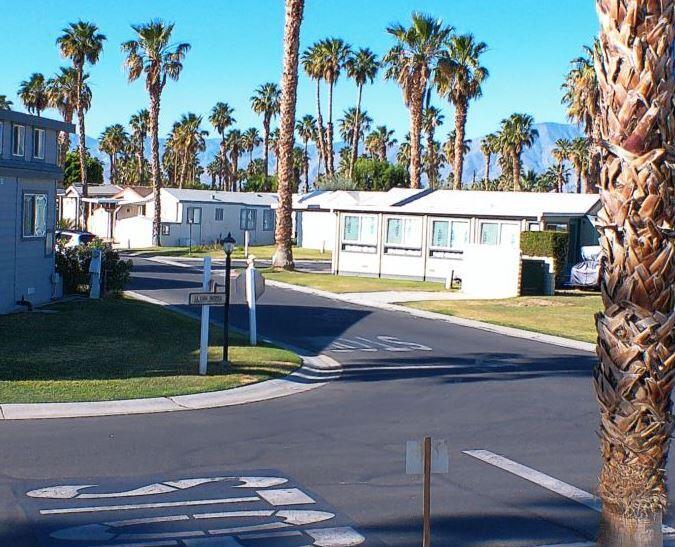 84136 Ave 44, Unit 602 Indio, CA 92203 - Photo 5 of 43 a view of a swimming pool with a yard and palm trees