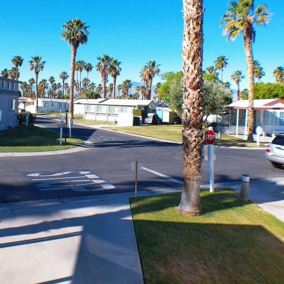 84136 Ave 44, Unit 602 Indio, CA 92203 - Photo 7 of 43 a park with large trees