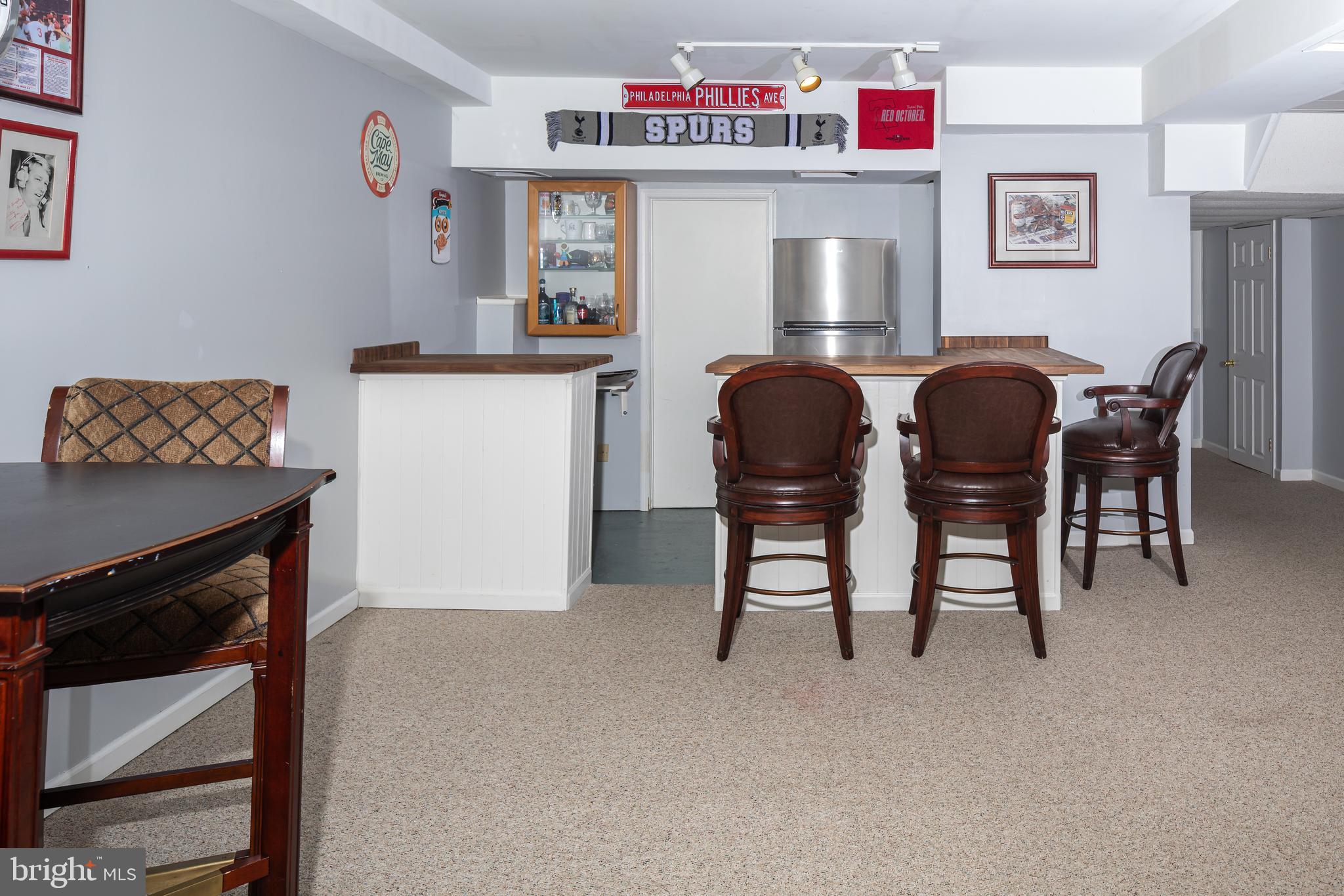 117 Hillside Road Wayne, PA 19087 - Photo 27 of 36 Finished Lower Level