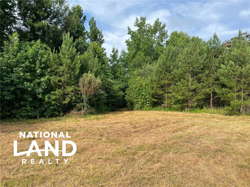 294 Covered Bridge Road Gaffney, SC 29340 - Photo 1 of 16