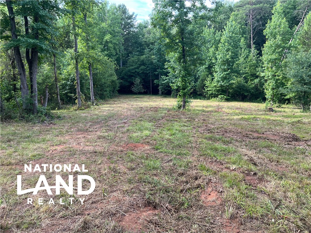 294 Covered Bridge Road Gaffney, SC 29340 - Photo 16 of 16