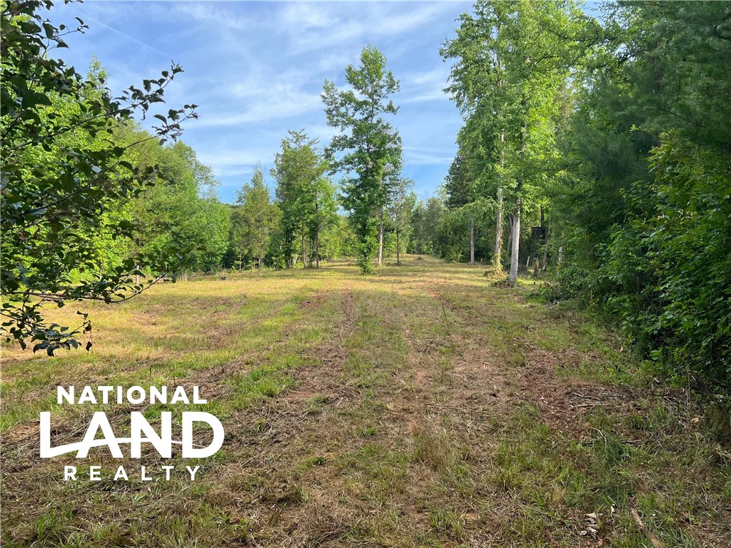 294 Covered Bridge Road Gaffney, SC 29340 - Photo 4 of 16