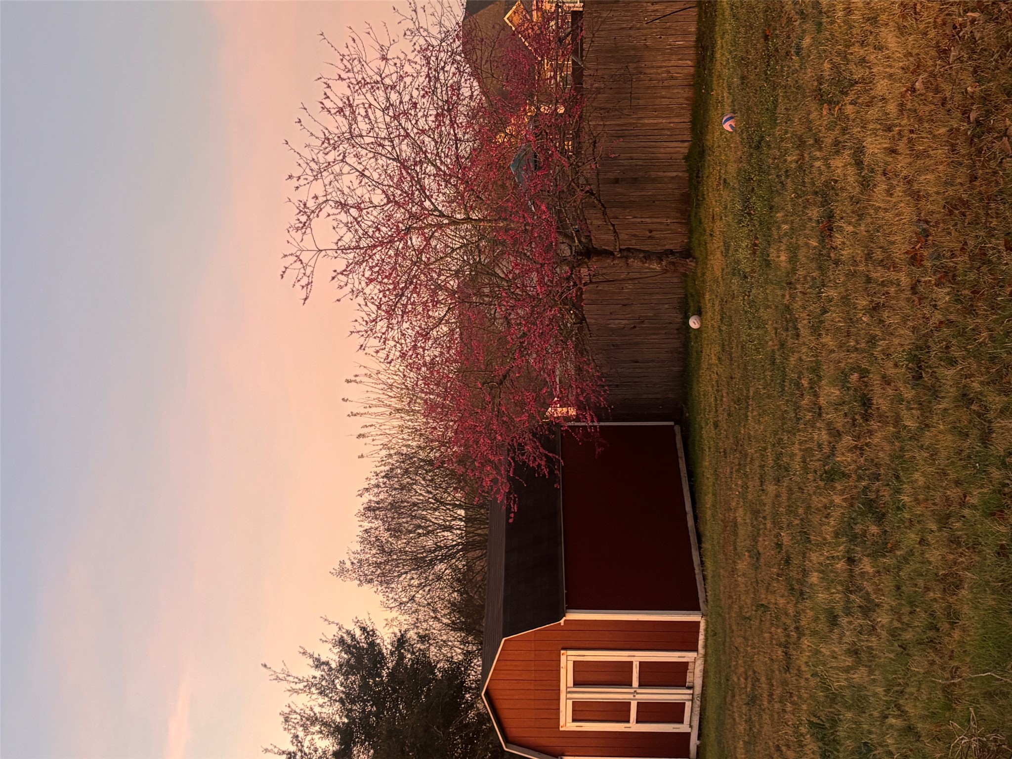 3336 Ashleys Way Marion, TX 78124 - Photo 10 of 15 Yard at dusk featuring a shed