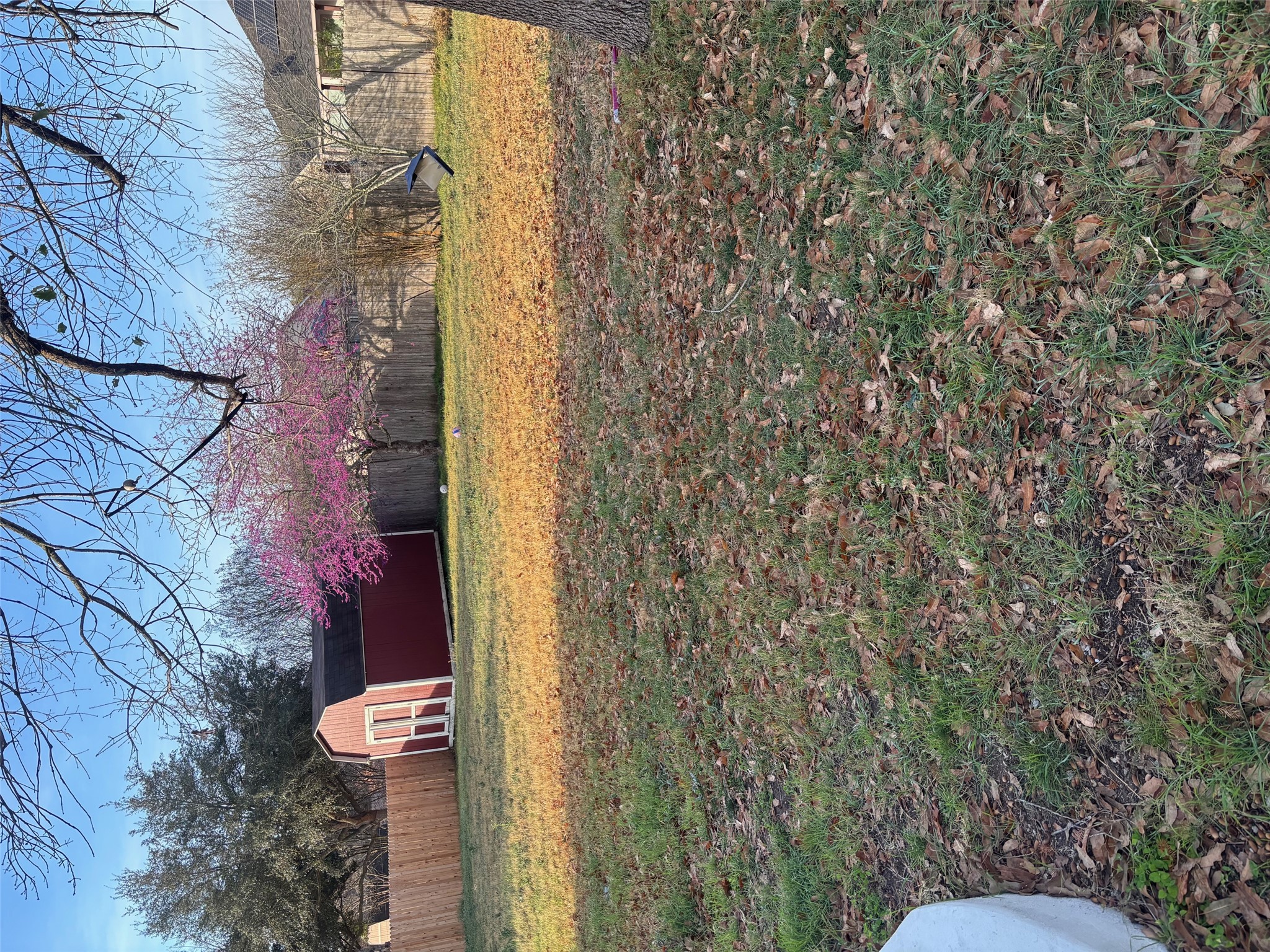 3336 Ashleys Way Marion, TX 78124 - Photo 11 of 15 Fenced backyard with a shed