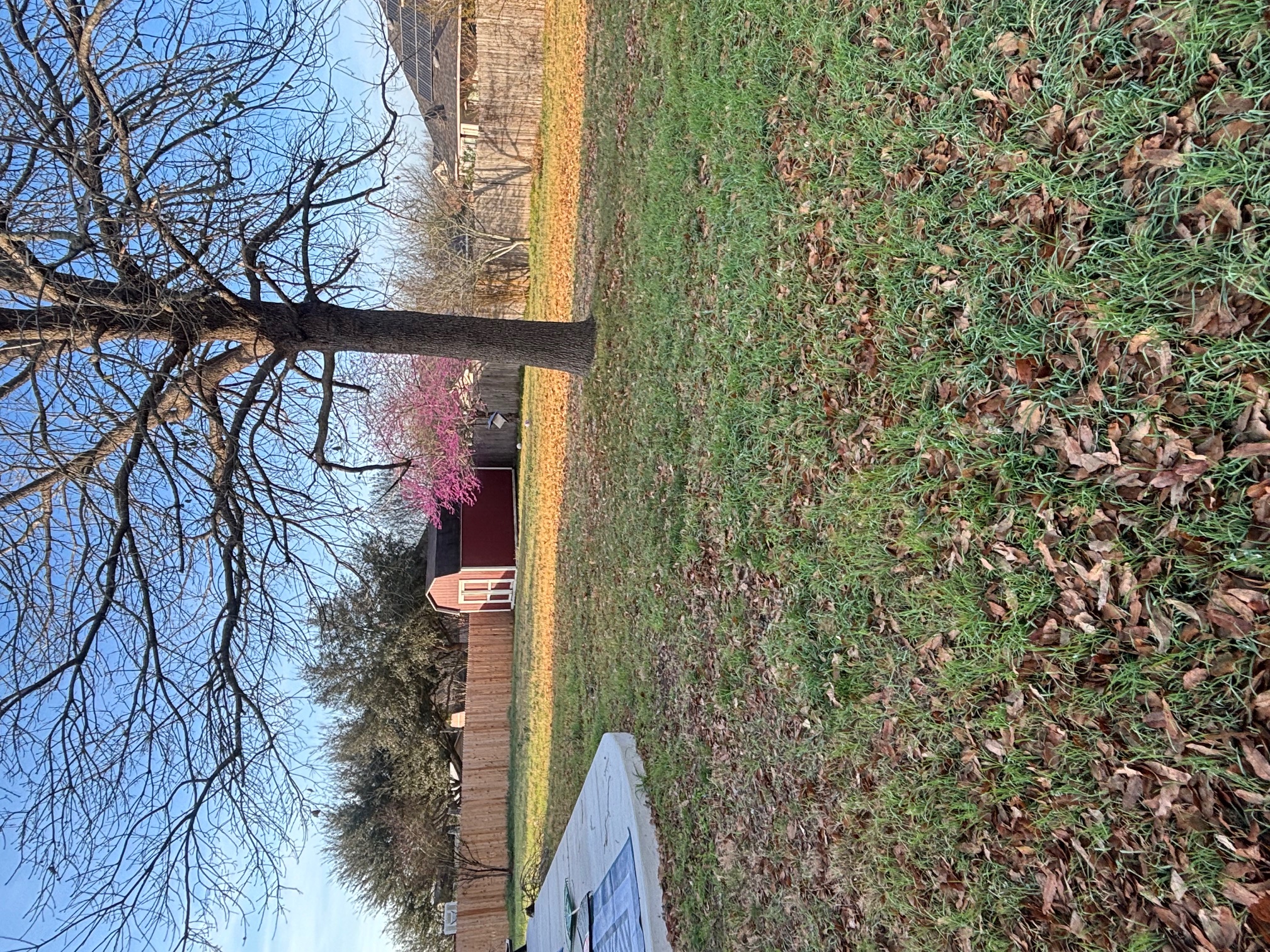 3336 Ashleys Way Marion, TX 78124 - Photo 12 of 15 Fenced backyard featuring a shed