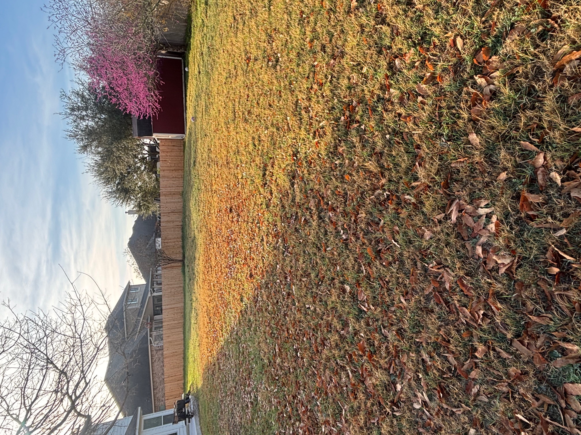 3336 Ashleys Way Marion, TX 78124 - Photo 13 of 15 View of yard