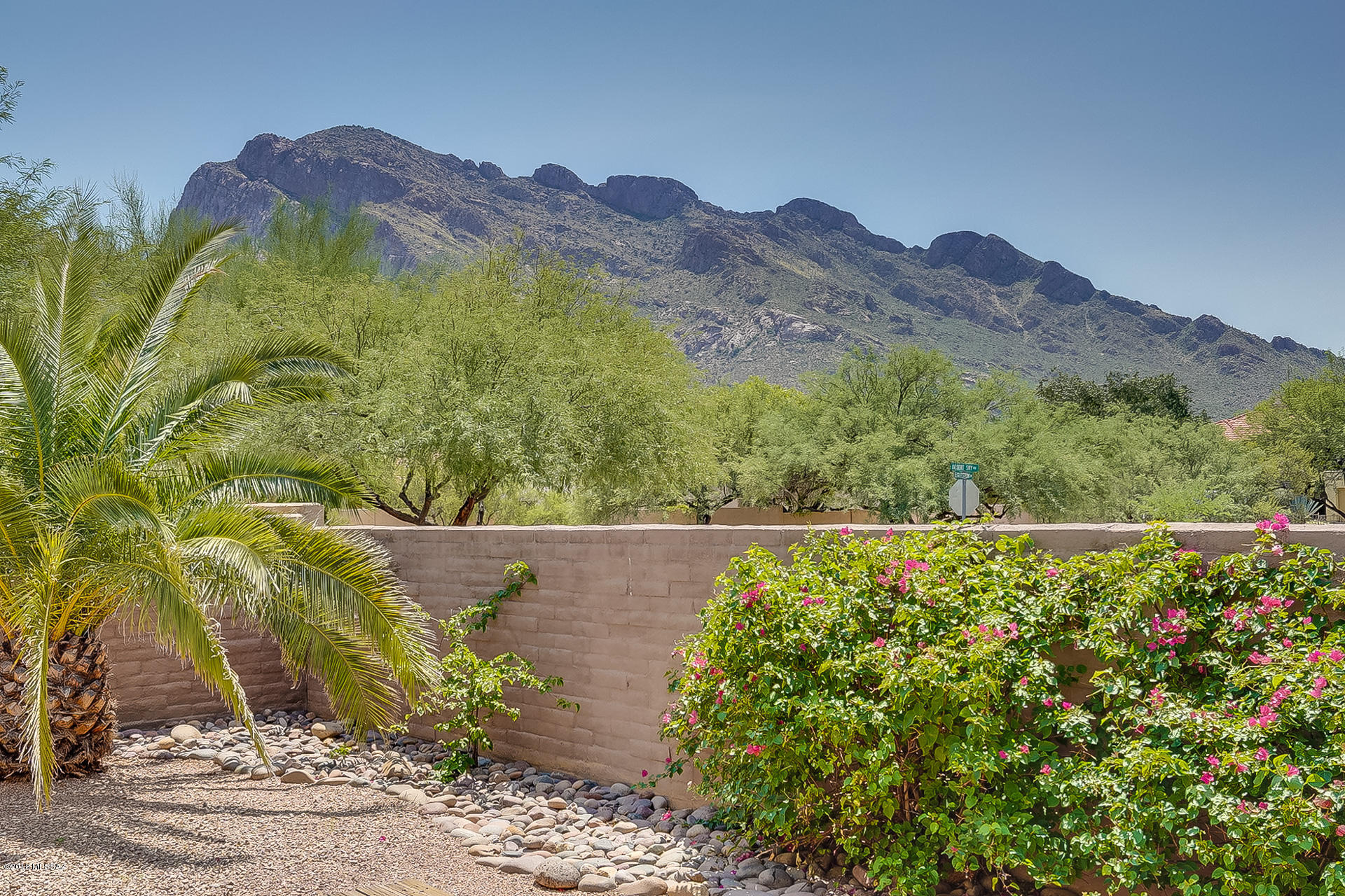 170 East Spring Sky Street Tucson, AZ 85737 - Photo 21 of 22
