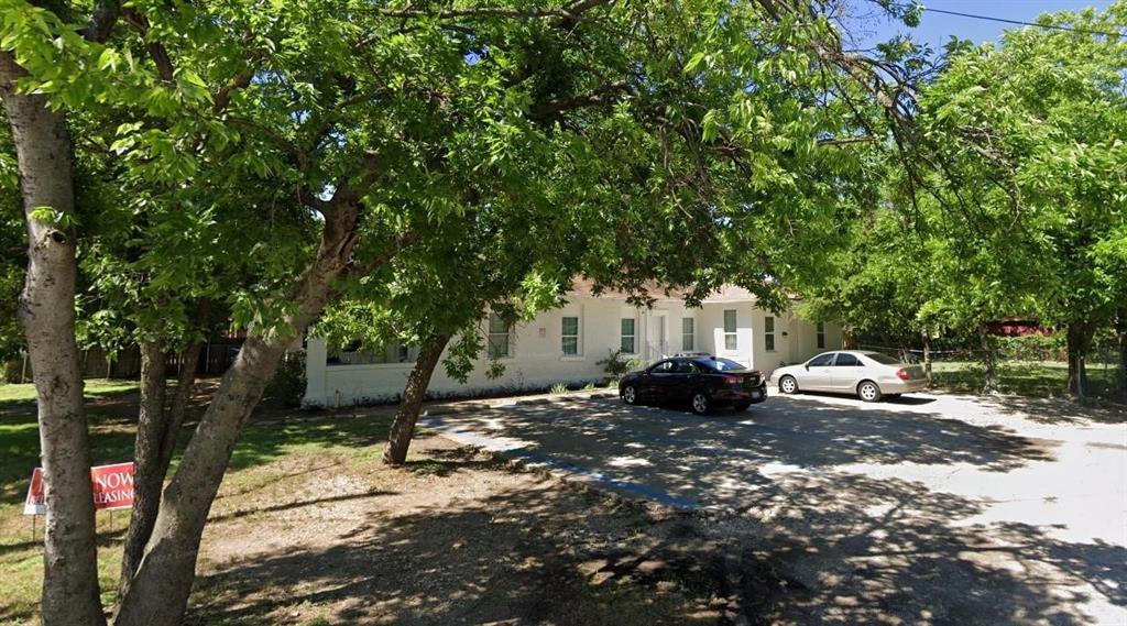 a view of a tree in the middle of a yard