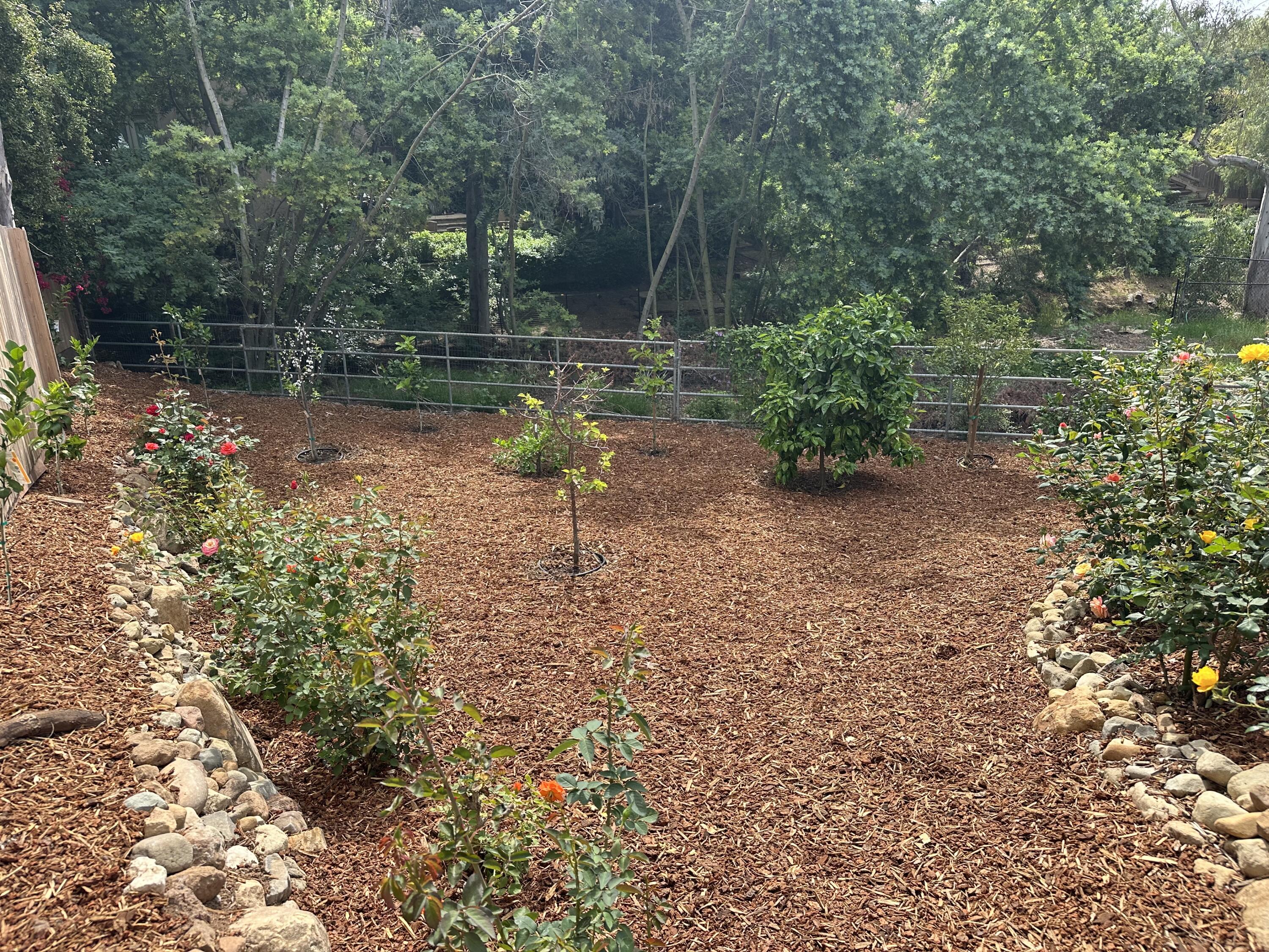 496 North La Cumbre Road Santa Barbara, CA 93110 - Photo 24 of 26 a view of backyard with green space