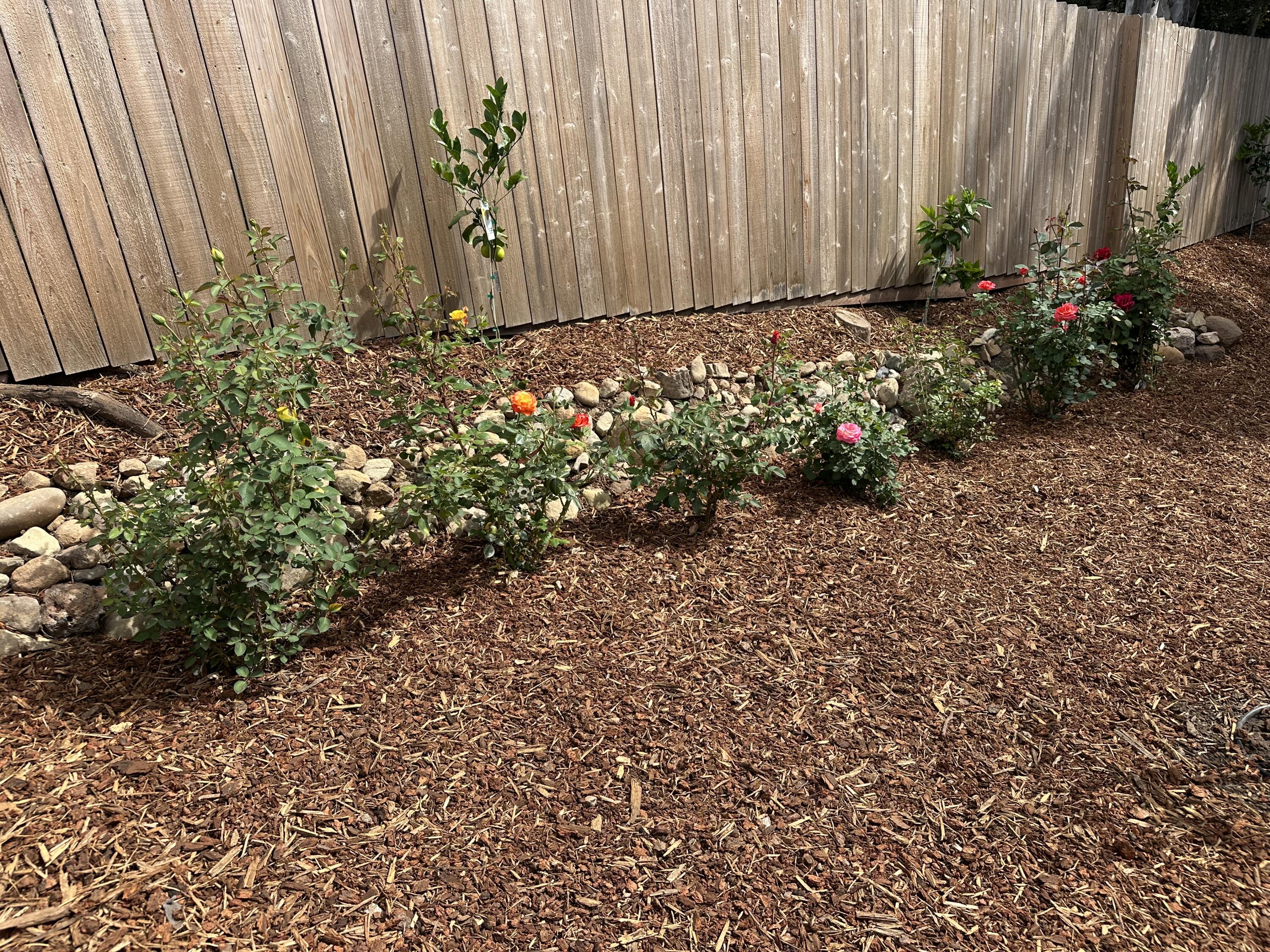 496 North La Cumbre Road Santa Barbara, CA 93110 - Photo 26 of 26 a view of a bunch of flowers