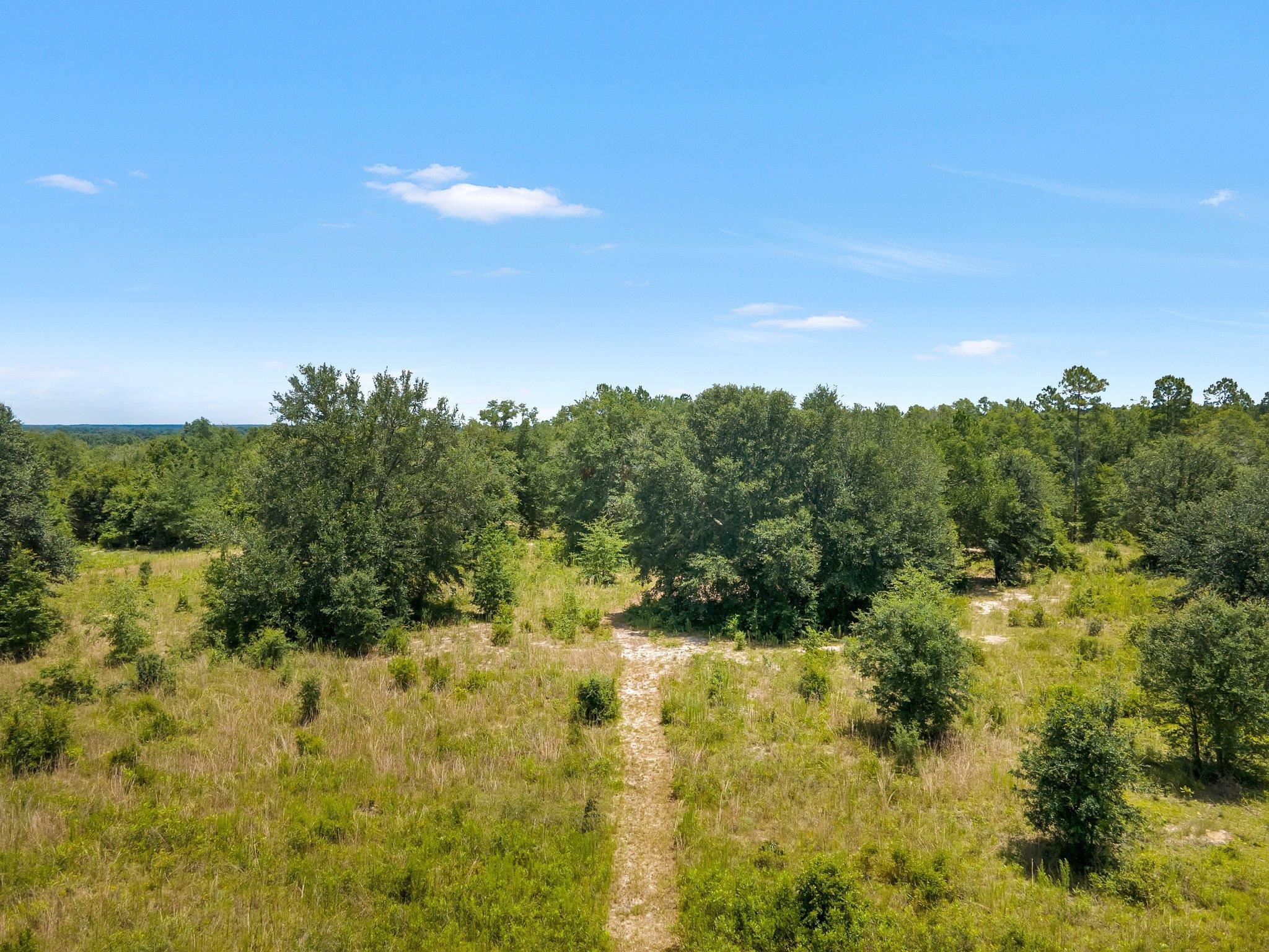 Tbd Northeast Tbd Ne Cedar Trail Pinetta, FL 32350 - Photo 14 of 19