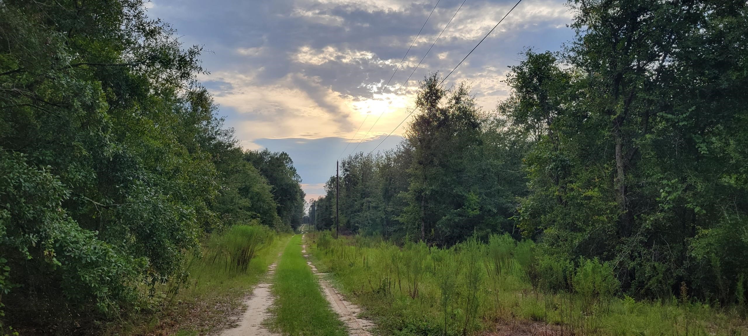 Tbd Northeast Tbd Ne Cedar Trail Pinetta, FL 32350 - Photo 17 of 19