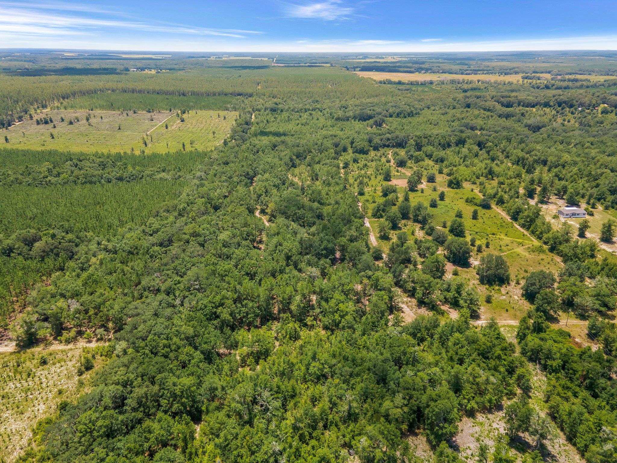 Tbd Northeast Tbd Ne Cedar Trail Pinetta, FL 32350 - Photo 3 of 19