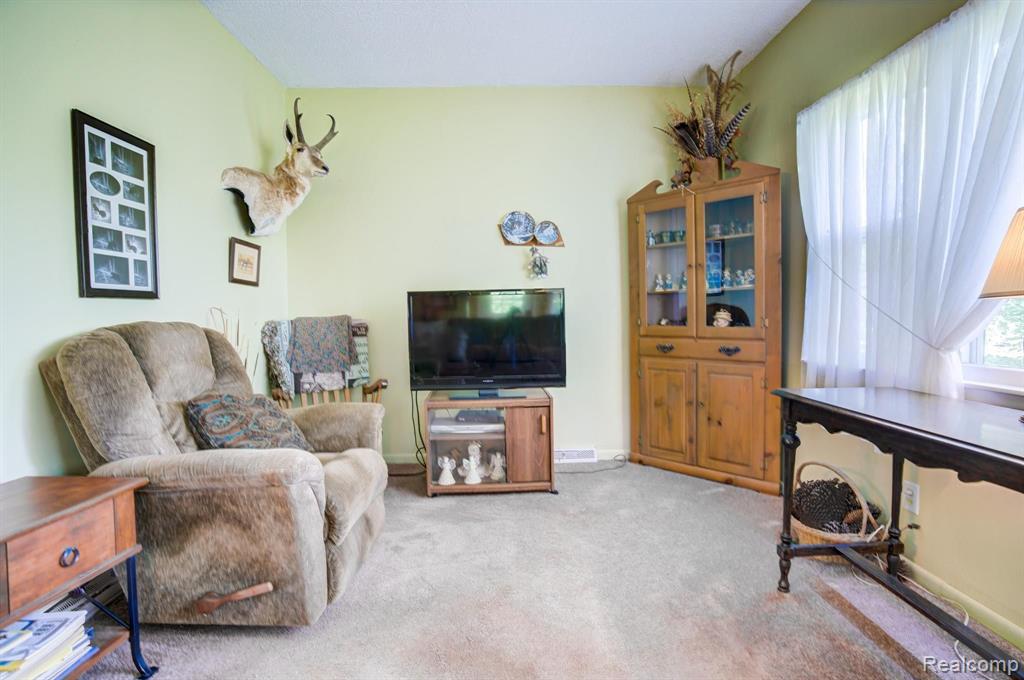 10725 East Lovejoy Road Perry, MI 48872 - Photo 20 of 38
