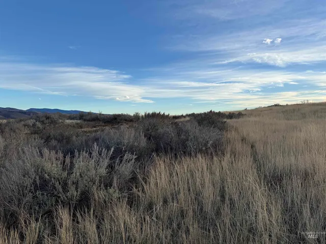 $299,000 | Tbd Tbd Deer Loop Road, Council, ID 83612
