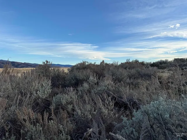 $299,000 | Tbd Tbd Deer Loop Road, Council, ID 83612