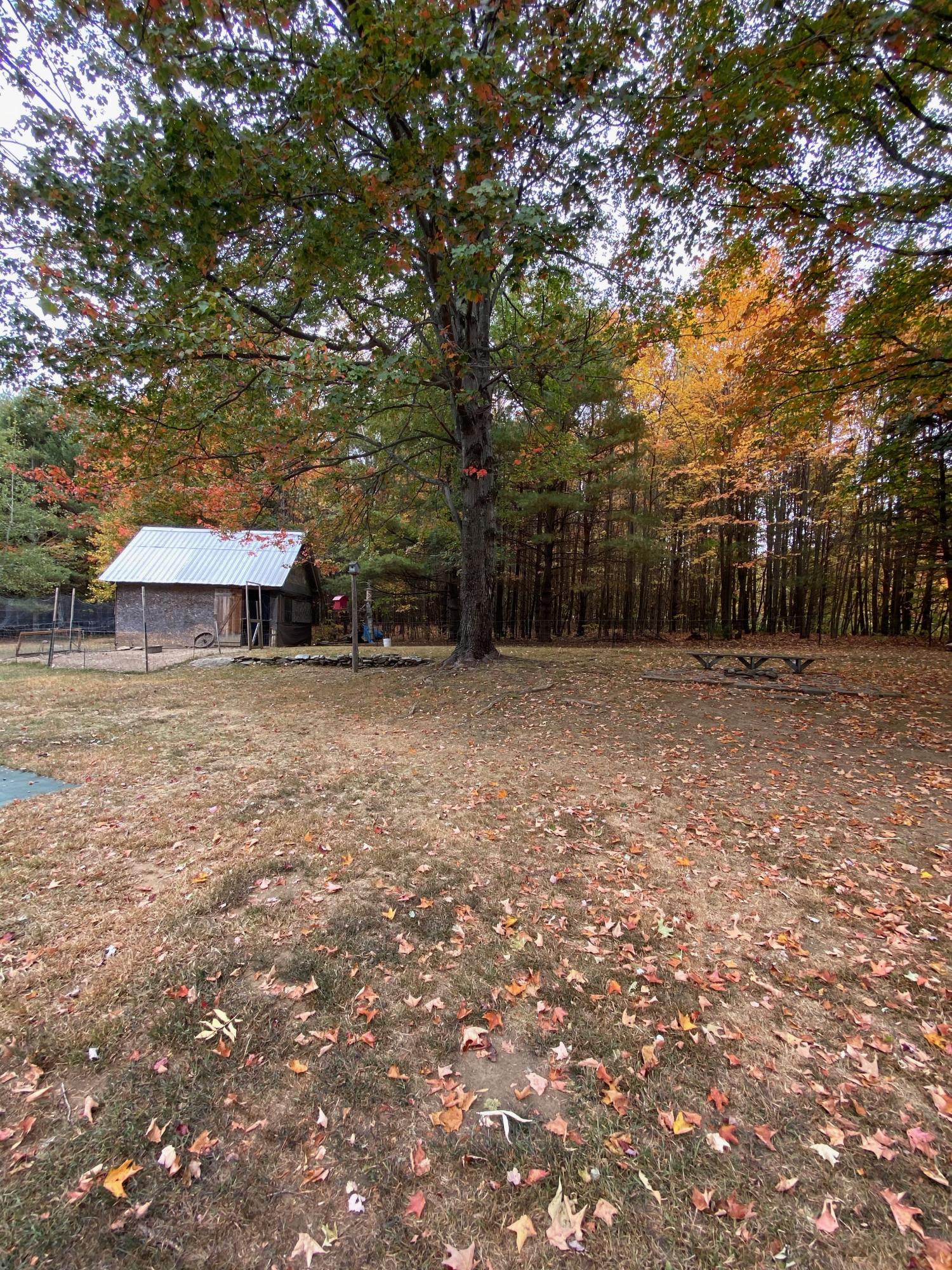 255 Locke Hill Road Starks, ME 04911 - Photo 33 of 41 IMG_9352