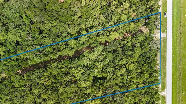 a close up of a plant