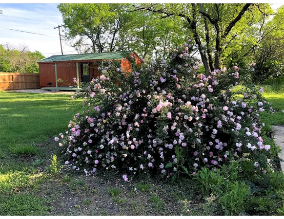 a view of a house with a tree