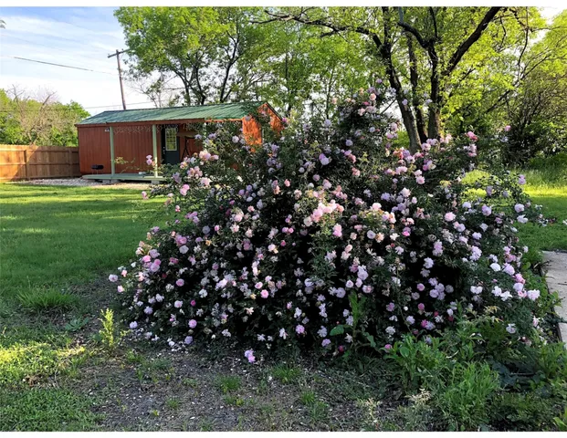 $1,000 | 241 East Jackson Street, Bartlett, TX 76511