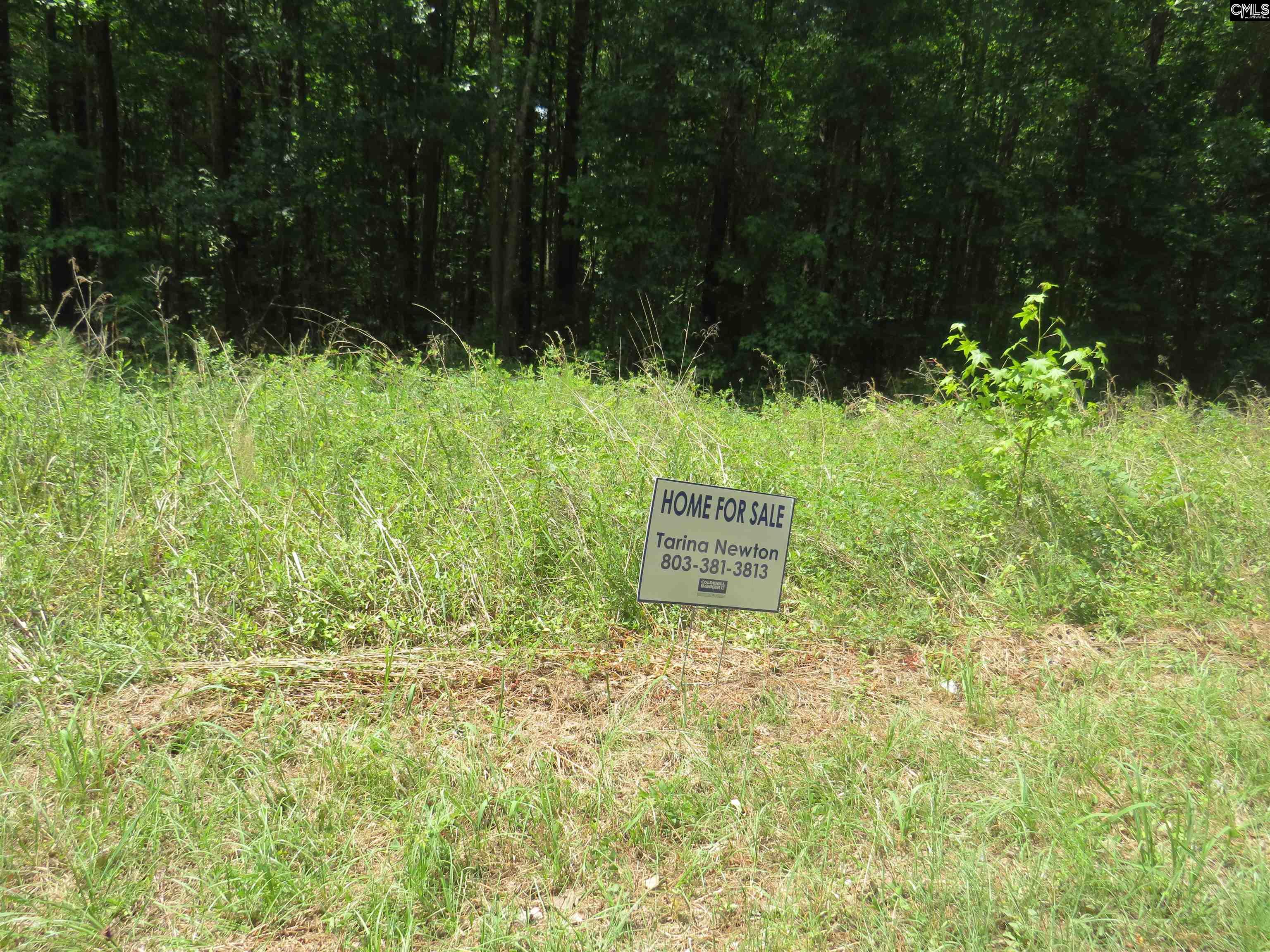 Old Eastover Road Eastover, SC 29044 - Photo 11 of 13