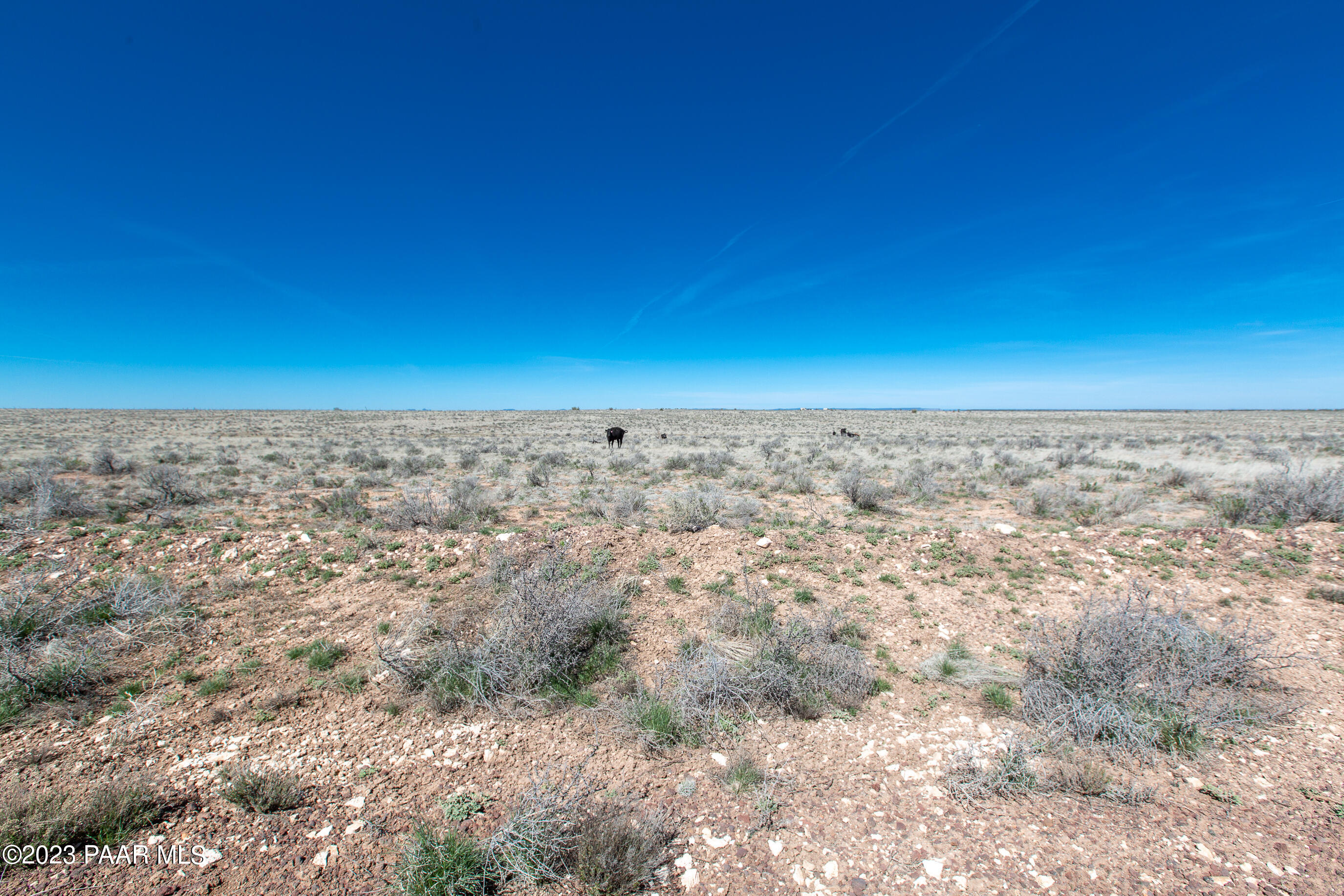 6394 South Prairie Grass Road Williams, AZ 86046 - Photo 8 of 13 Williams Property-33