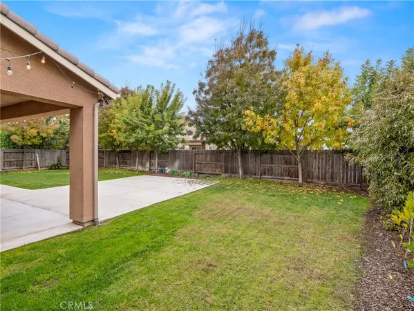 a view of a backyard with tree s